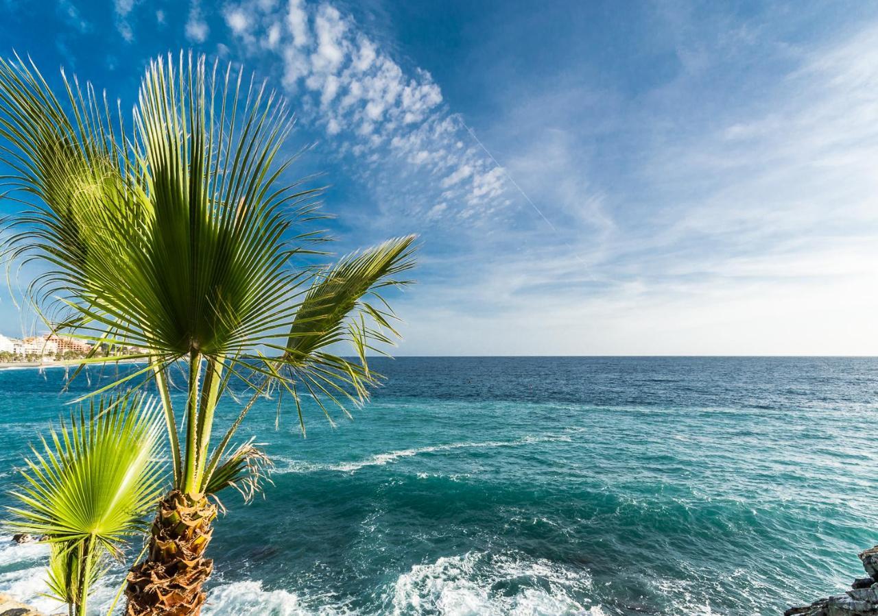 Hostal Tropical อัลมูเญการ์ ภายนอก รูปภาพ