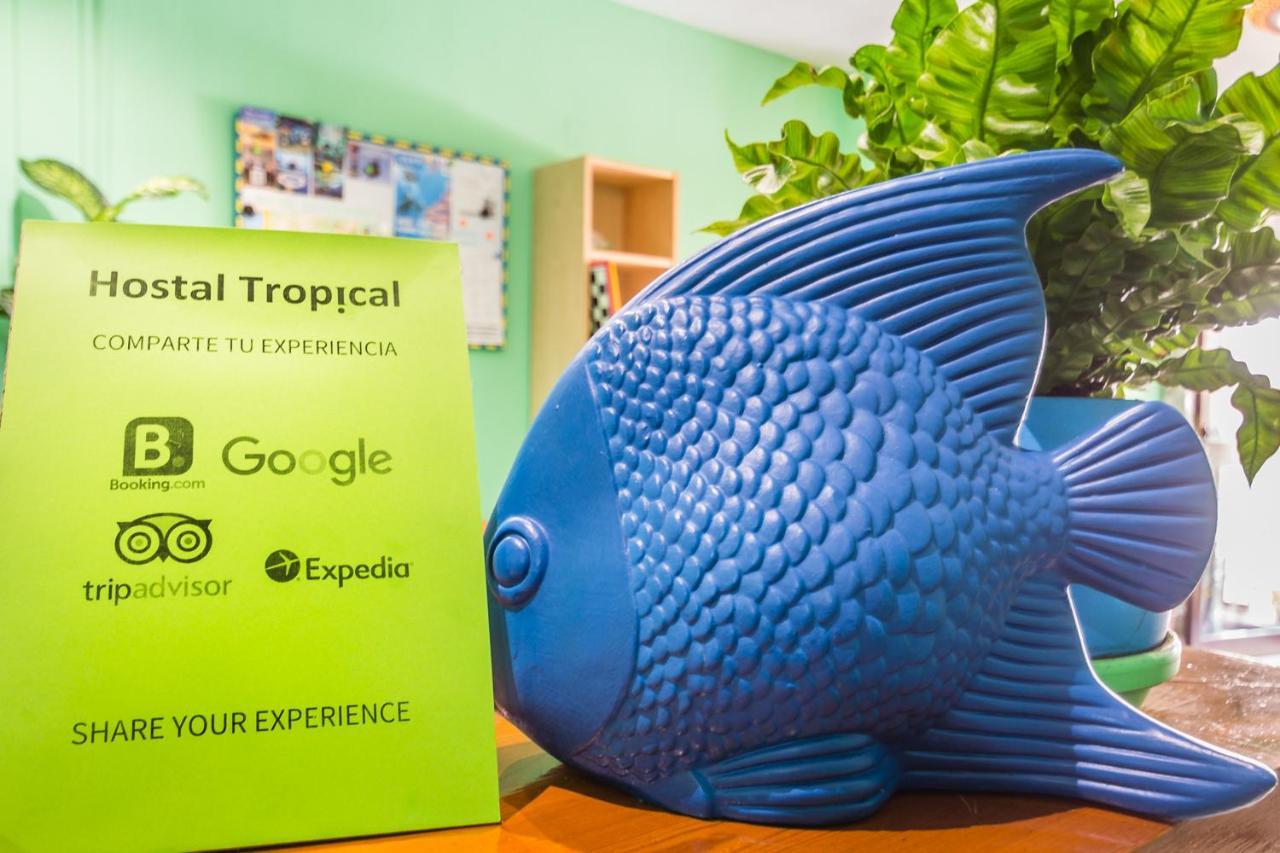 Hostal Tropical อัลมูเญการ์ ภายนอก รูปภาพ